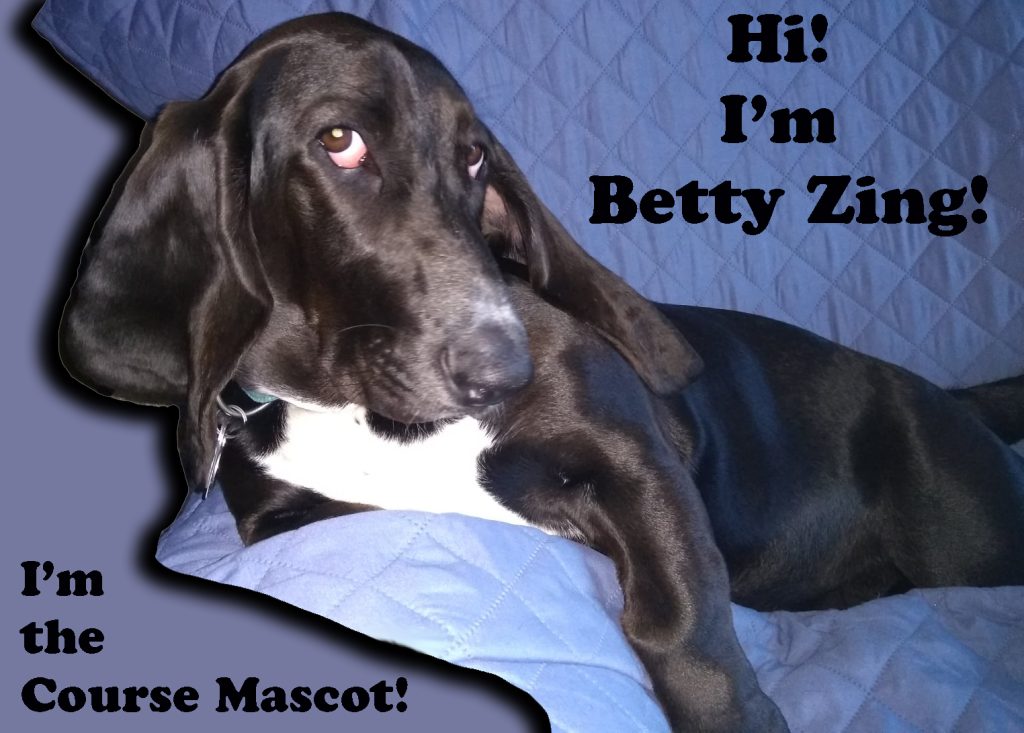 black basset hound: Hi! I'm Betty Zing! I'm the Course Mascot!