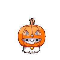 kitten inside a pumpkin, playing